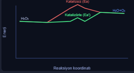 Katalizörün Tepkime Hızına Etkisi